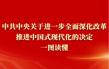 《中共中央关于进一步全面深化改革、推进中国式现代化的决定》一图读懂
