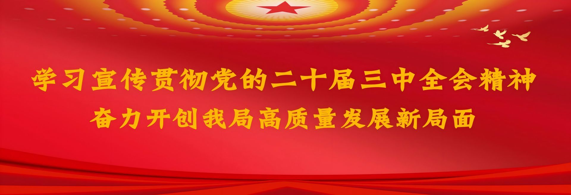 学习宣传贯彻党的二十届三中全会精神