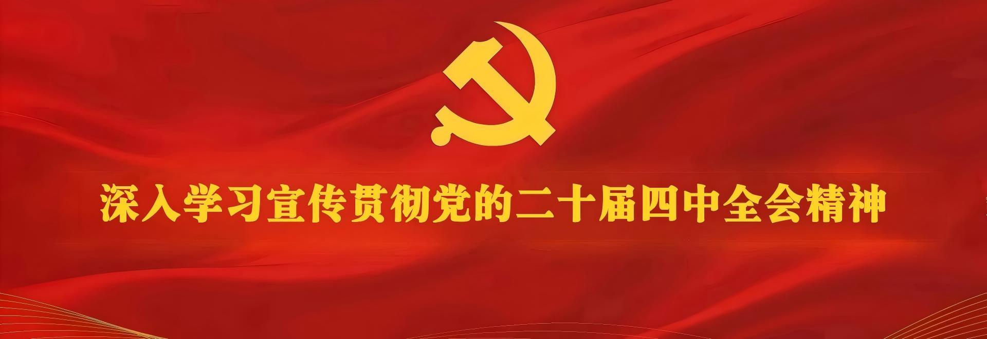深入学习宣传贯彻党的二十届四中全会精神