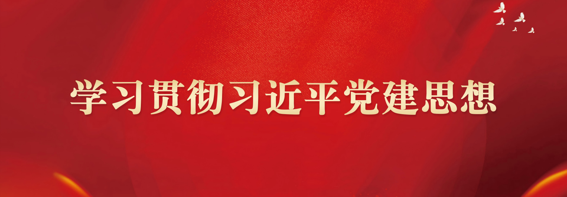 学习贯彻习近平党建思想