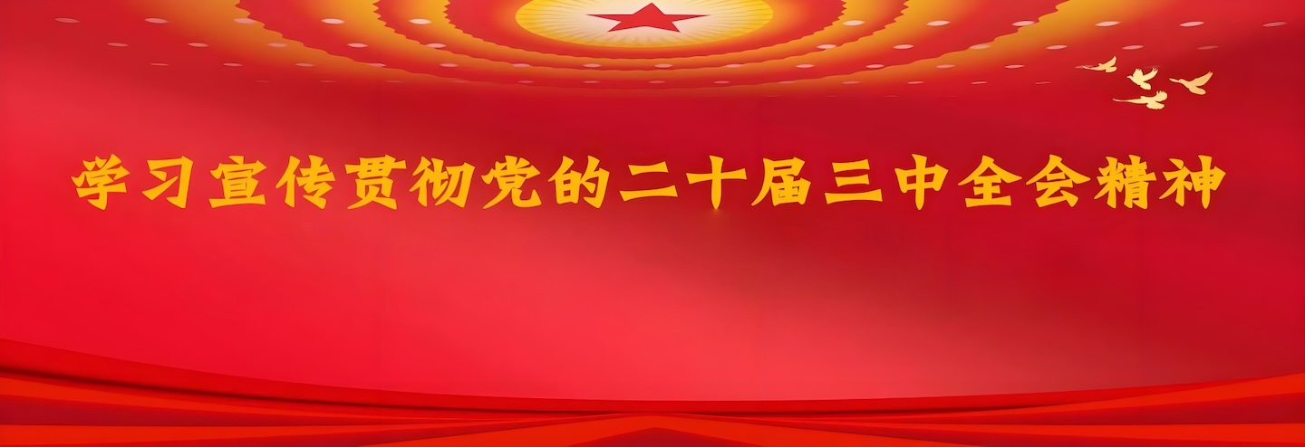 学习宣传贯彻党的二十届三中全会精神
