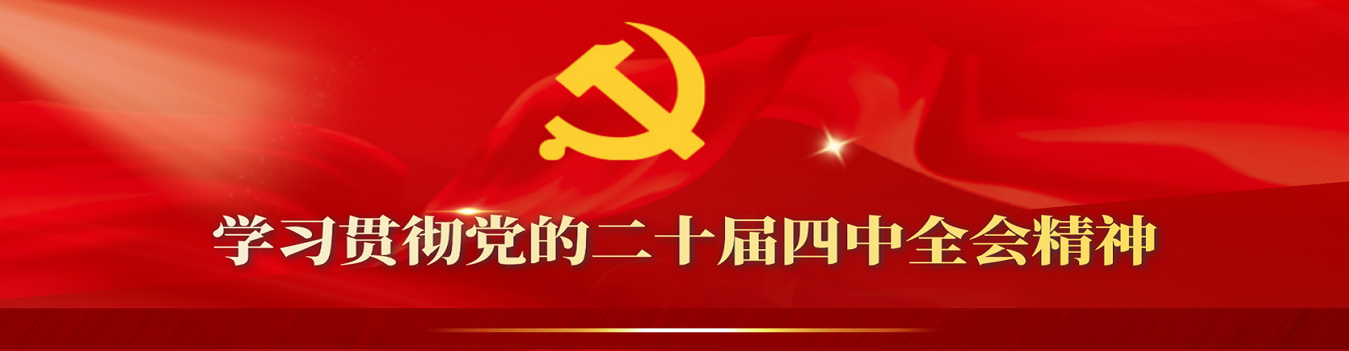 党的二十届四中全会精神