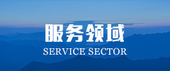服务领域